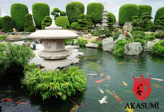 Các đặc điểm quan trọng khi thi công hồ nuôi cá Koi